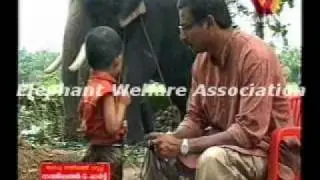 Rajasekaran-2