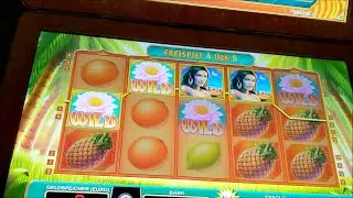 🌅Meine Spiele blenden Euch🌅Freispiele so wie nur Feckinger Sie macht🌅Merkur und Novoline🌅Didi B.🌅