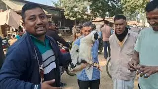 কপাল দেই। মাঘবিহুৰ শুভেচ্ছা জনাইছো#comedy#funny #reels #assam #entertainment #assamesereels #shorts 