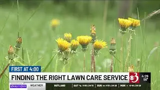 Finding the right landscaping and lawn care pro
