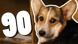SNUGGLY SNUGGLY AND CUDDLY! - JARCAST Episode 90