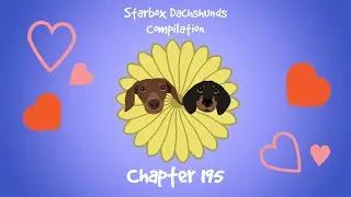 Starbox Dachshunds Compilation Chapter 195