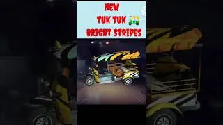 I Got New 😱 Tuk Tuk Bright Stripes Free Fire Max #shorts