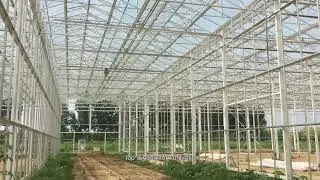 Turnkey Project Agricultural Multi Span Glass Greenhouse with Soilless Cultivation Flowers