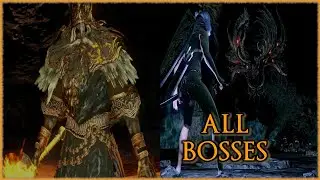 Dark Souls Remastered | Every Boss in One Journey (No Commentary, No Deaths)