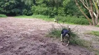 Maandagochtend