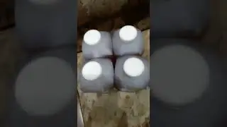 Лучшее и проверенное за годы. Средство Lan 7. чистим монеты.