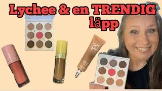 TESTAR GlossGods Lychee palett 🤎❤️ || Trendig l&auml;pp
