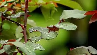 For When It Rains ~ Juan S&aacute;nchez |Ambient Music