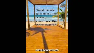 #whatawonderfulworld #friends #marktwain #lifephilosophy #contentment #mindfulness #quotes #beach
