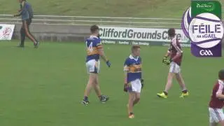 Castleknock v Termon - Feile Div 1 2016 Final Highlights