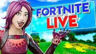 Fortnite GRINDEN mit der Community😝