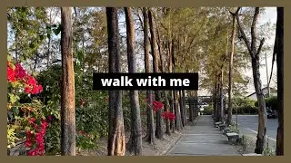 Appreciating Nature During Lockdown (Relaxing & Calming Film)