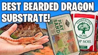 Bearded Dragon Substrate