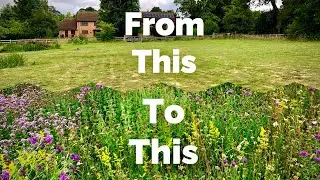 Wildflower Meadow Revisited - 10 Years On - Part 1 - Potato Field to Meadow