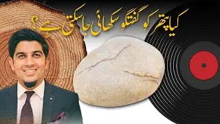 Teaching a stone to talk - Annie Dillard | پتھر سے گفتگو کا عمل