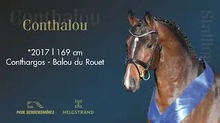 Conthalou - Jumping Collection Schockemoehle & Helgstrand 2022 (ENG)