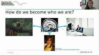 Individual Differences and Educational Neuroscience | Dr Iroise Dumentheil