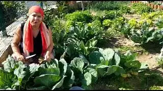 Safiye Soyman ve Faik Öztürk Bodrum'daki Evlerinin Bahçesinde