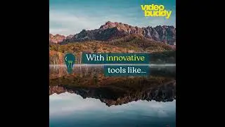 Videobuddy example