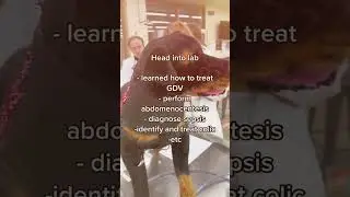 Day in a life of a VET Student