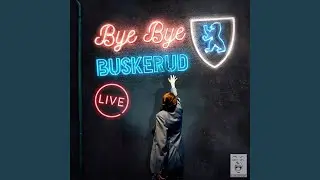 Bj&oslash;rner blir bare skutt
