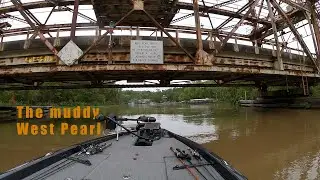 Fishing a high muddy West Pearl.