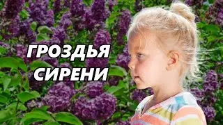 Ольга Седова. Гроздья сирени. Стихи.  Онлайн театр из Екатеринбурга