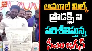 CM Jagan inspected Amul Milk Products | Jagan Visits Chittoor | Minister Roja | YCP | YOYO AP TIMES