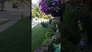 gary harassing 2