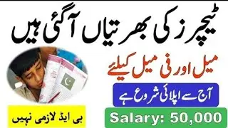 Punjab Govt Schools Teaching Jobs 2022 at Danish Schools and Center of Excellence