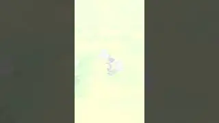 Shiny Alolan Grimer! Pok&eacute;mon Let's Go Pikachu!