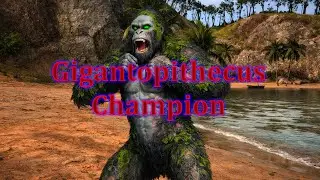 The Wolf - Gigantopithecus champion 🦍