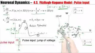 CNS4.3A - Analysis of a 2D neuron model - pulse input