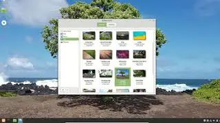The Default Linux Mint Wallpaper