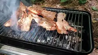 Weber Go-Anywhere, charcoal grill short review