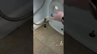 Ann Arbor, MI House Cleaners | Pure Simplicity Cleaning & Organizing | How to Clean  a Toilet
