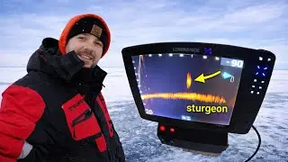 Pre-Season Sturgeon Spearing Scouting! Did we find the Giants? | 2026 |