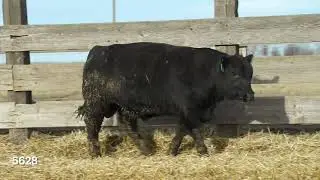 85 - Kesslers Highlander 5628