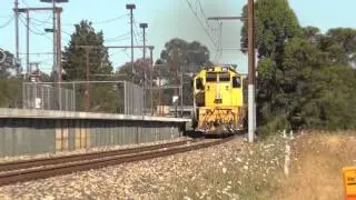 Amazing Horn Show! - Maryvale Paper train flys through Beaconsfield