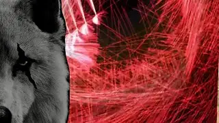 Bad Wolves-House of Cards official Audio