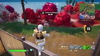 Fortnite_top 4 i think