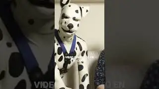 ESTE HOMBRE SE CONVIRTI&Oacute; EN PERRO D&Aacute;LMATA #shorts