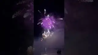 Fireworks at Lake Geneva 🎇❤️✨ #lakegeneva #newyear2024 #geneva #switzerland