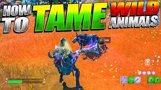 HOW TO TAME ANIMALS IN FORTNITE SEASON 6!  (Tamable WOLVES And Other Animals)