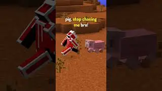 Типы новичков в Minecraft