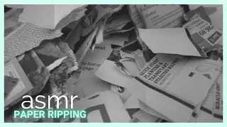 ASMR || Paper Ripping - Various Papers || Sleep and Relaxation || No Talking