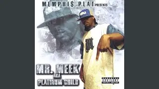 Mr. Meek