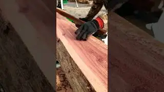 Sweet Eastern Red Cedar