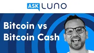 What is the difference between Bitcoin and Bitcoin Cash? | Ask Luno